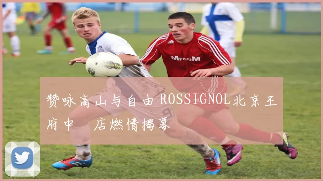 赞咏高山与自由 ROSSIGNOL北京王府中環店燃情揭幕