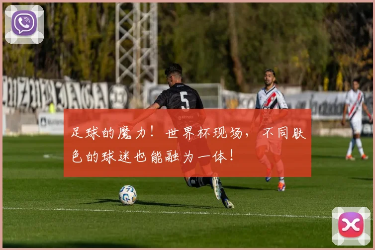 足球的魔力！世界杯现场，不同肤色的球迷也能融为一体！