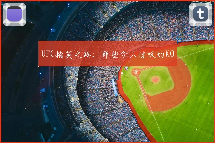 UFC精英之路：那些令人惊叹的KO