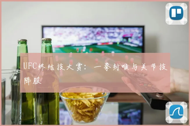 UFC终结技大赏：一拳封喉与关节技降服