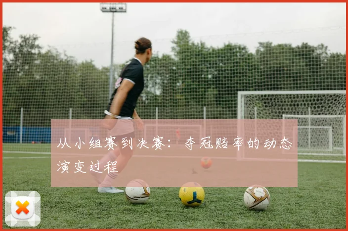 从小组赛到决赛：夺冠赔率的动态演变过程