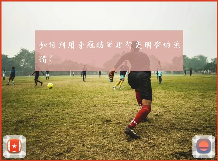 如何利用夺冠赔率进行更明智的竞猜？