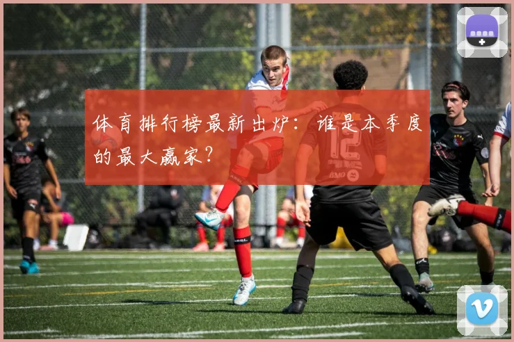 体育排行榜最新出炉:谁是本季度的最大赢家?