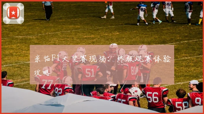 亲临F1大奖赛现场:终极观赛体验攻略