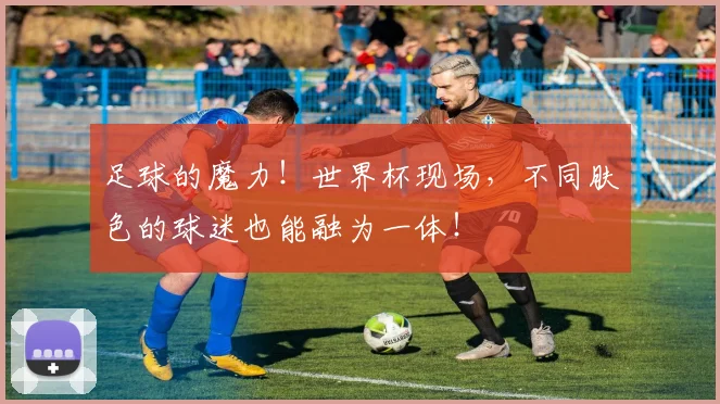 足球的魔力！世界杯现场，不同肤色的球迷也能融为一体！